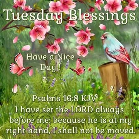 Good Morning Tuesday Happy Tuesday Good Morning God Quotes Morning