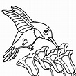 Cute Hummingbird coloring page - Download, Print or Color Online for Free
