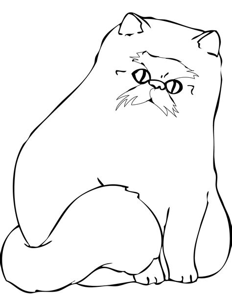 Do help your kid color the cat's hat and her roses with red or pink. Himalayan Cat coloring, Download Himalayan Cat coloring ...