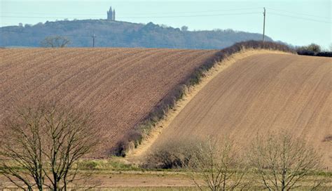 Drumlin And Hedge Near Comber © Albert Bridge Cc By Sa20 Geograph