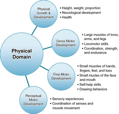 Domain Example In Physical Activity - DIMOANS