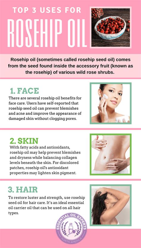 10 Rosehip Oil Benefits You Should Know Rosehip Oil Benefits Rosehip