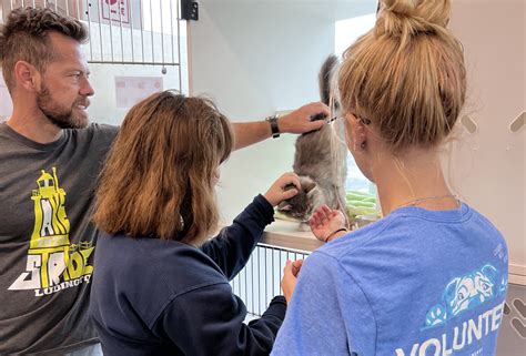 Clear the Shelter Day results in more than 160 local pet adoptions