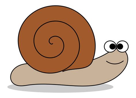 Snail Clip Art Free Clipart Images 5 Clipartix