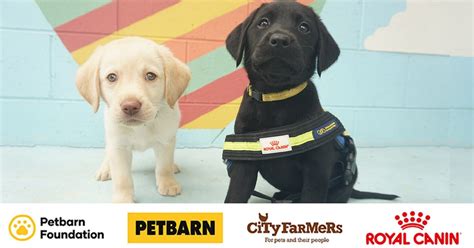 Are there any free pet food samples in australia? Win a $2000 Petbarn/City Farmers Voucher & 12 months of ...