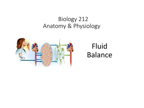 Ppt Biology 212 Anatomy And Physiology I Powerpoint Presentation Free