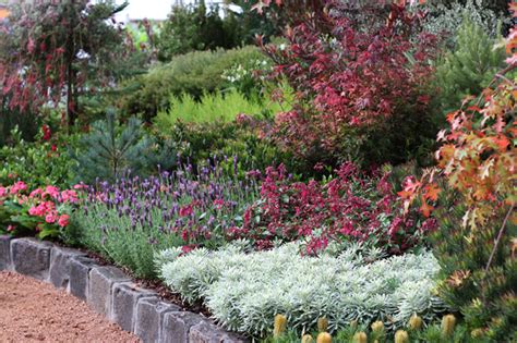 Maybe you would like to learn more about one of these? Melbourne Flower and Garden Show 2012, my highlights by ...