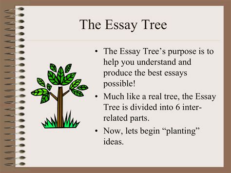 Essay On Trees For Kids Essay On Trees For Children And Students 2022