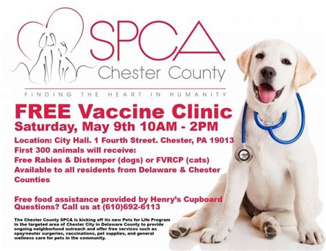 Complete annual vaccination packages for dogs & cats. Free Pet Vaccinations Near Me | Top Dog Information