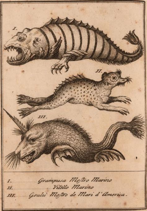 Tumblr Sea Monsters Art Mythological Creatures