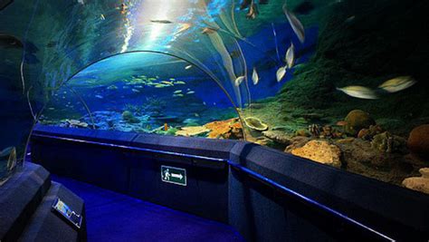 Places Underwater World Singapore City Guide