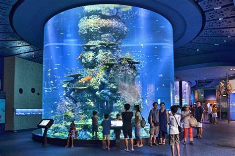 Top 7 New And Must Visit Attractions In Singapore