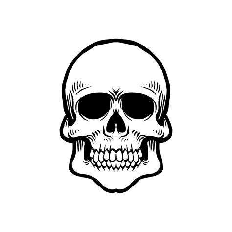 Skull SVG Cut files for Silhouette Cricut downloads Vector