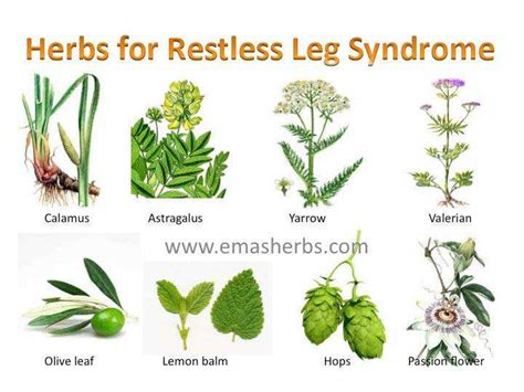 Herbs For Restless Legs Syndrome