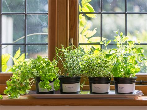 How To Plant A Windowsill Herb Garden How Tos Diy