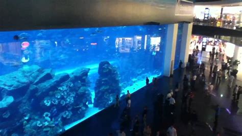 Worlds Biggest Fish Tank Aquarium Dubai Mall Burj Khalifa Youtube