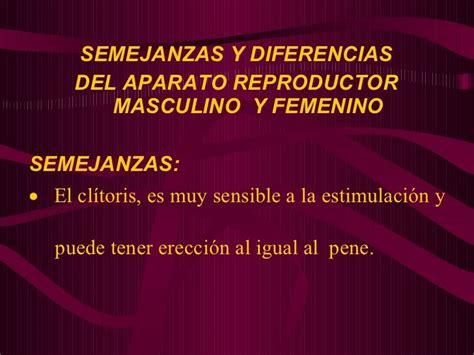 Sistema Reproductor Masculino Y Femenino Scie112