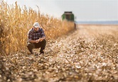 10 Things You May Not Know About Farmers | Kansas Living Magazine