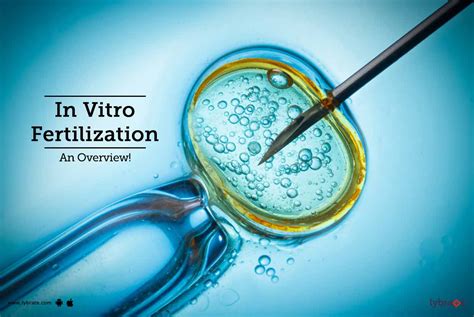 In Vitro Fertilization Pictures