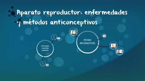 Aparato Reproductor Enfermedades Y Metodos Anticonceptivos By Pablo