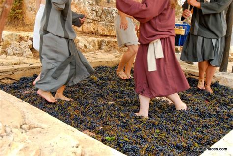 Picture Of The Week Treading Winepress BiblePlaces Com
