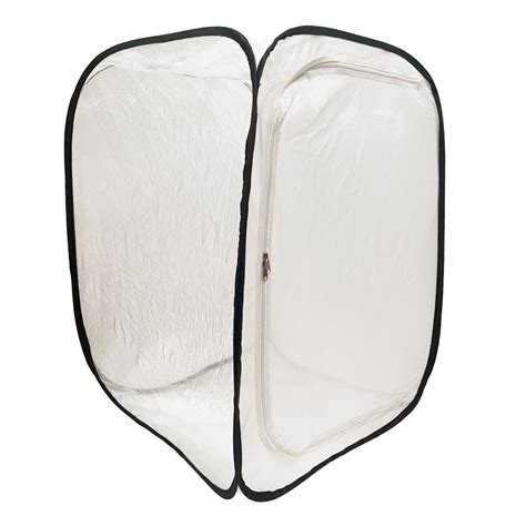 Stick Insect Cages – Stick Insects UK