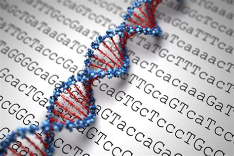 secuenciaciÓn genoma humano chilegenomico