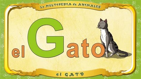 La Multipedia De Animales Letra G El Gato Youtube