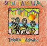 Tropico Adentro: Son Familia: Amazon.es: CDs y vinilos}