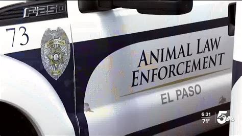 Animal Law Enforcement Has News Tools To Combat Animal Cruelty In The