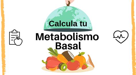 Calcular Mb Metabolismo Basal Calcular Imc Indice Masa Corporal Bio