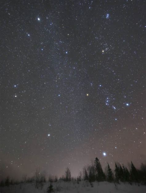 Meet Procyon Orions Littler Dog Sky And Telescope Sky And Telescope