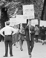 Documentary Film Review: THE LAVENDER SCARE (directed and produced by ...