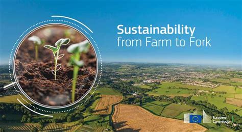 Euroseeds Welcomes The Publication Of The Roadmap For The Farm To Fork