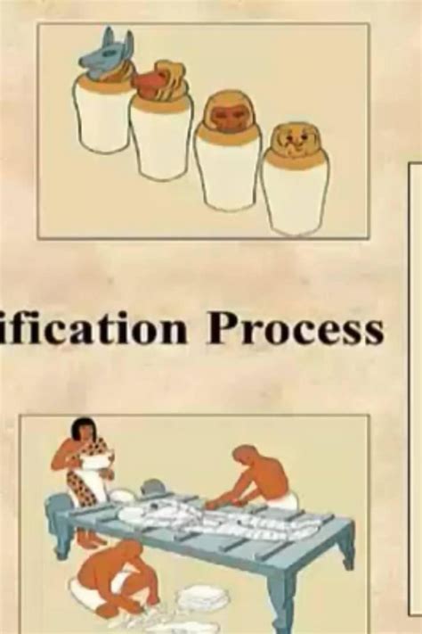 What Are The 8 Steps Of Mummification Process Mummification Process