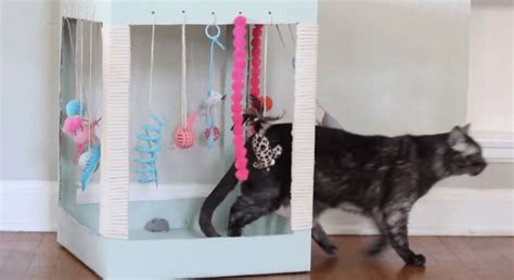 Homemade Catnip Toys For Cats Wow Blog