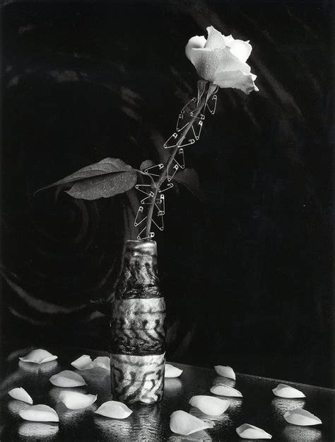 Rose Safety Pins And Vase Of Mackerel 1990 Michiko Kon