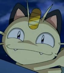 Meowth said this to his clone (that was created by mewtwo) after he realized he had no reason to fight. Meowth Voice - Pokemon the Movie: Hoopa and the Clash of ...