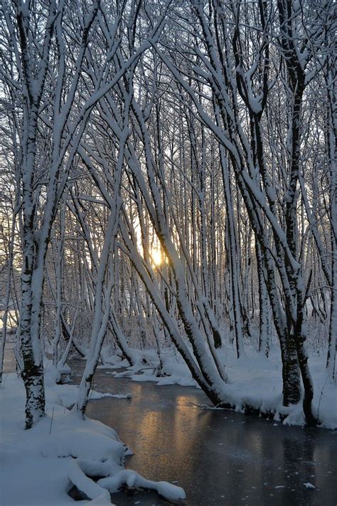 December Snow By Mjollnir Macalba Winter Landscape Winter Scenery