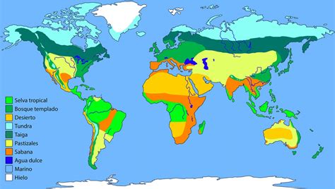 Quais São Os Biomas Localizados Exclusivamente No Hemisfério Norte