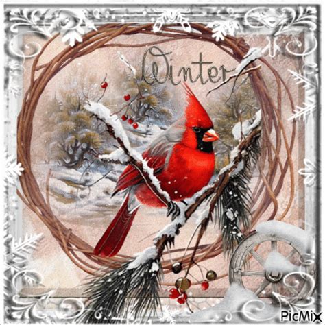 Winter Bird Free Animated  Picmix