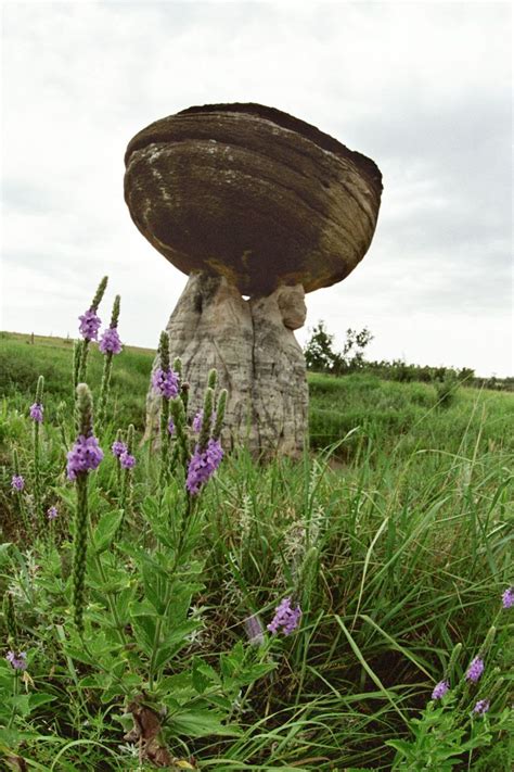 Mushroom Rock State Park In Kansas All Mushroom Info