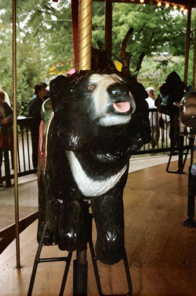 Carousels Bears Atlanta Zoo Sloth Bear Bear