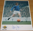 ALAN BALL HAND SIGNED 10 x 8 PHOTO Celebrity Autograph - review ...