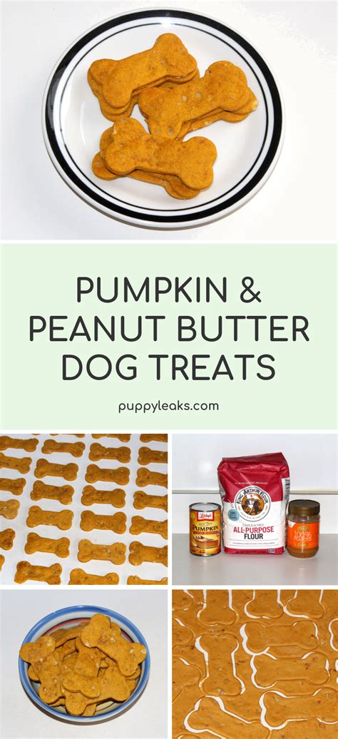 Easy Pumpkin And Peanut Butter Dog Treats Puppy Leaks