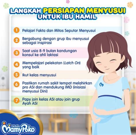 Langkah Persiapan Menyusui Untuk Ibu Hamil Mamypoko Indonesia