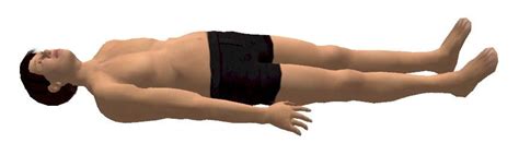 Supine Lying On The Back Or Having The Face Upward