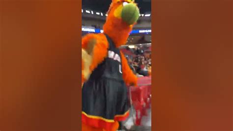 Pov Meeting Burnie The Miami Heat Mascot Youtube