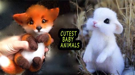 Top 10 Worlds Cutest Baby Animals Youtube