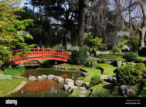 France Hauts De Seine Boulogne Billancourt Jardin Japonais D Albert